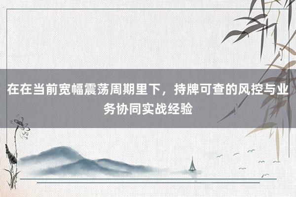 在在当前宽幅震荡周期里下,持牌可查的风控与业务协同实战经验